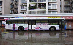 天津206路公交车路线