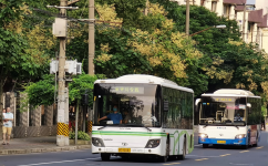 杭州113路高峰大站车公交车路线