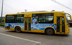 扬州307路[李典-新坝]公交车路线
